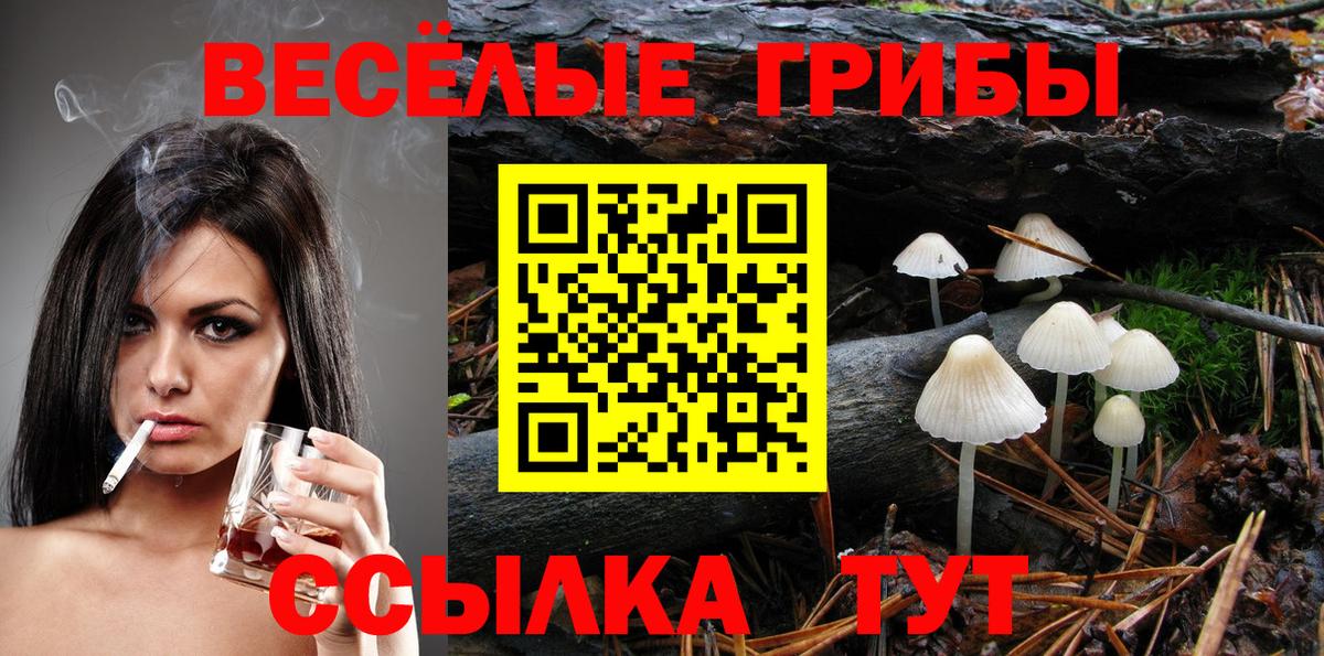 Псилоцибиновые грибы мицелий  Вход с VPN  Донской 
