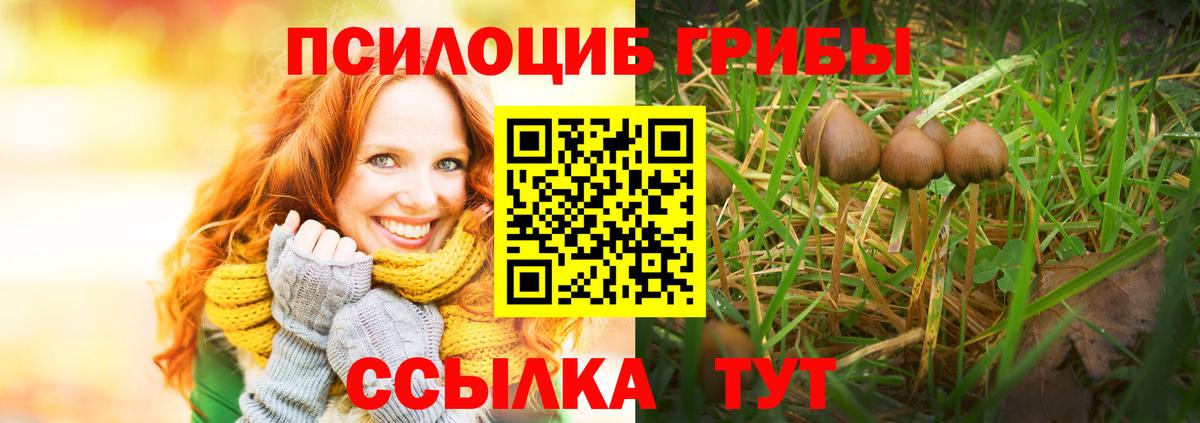 Галлюциногенные грибы прущие грибы Донской